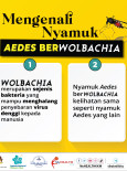 Mengenali Nyamuk Aedes Berwolbachia